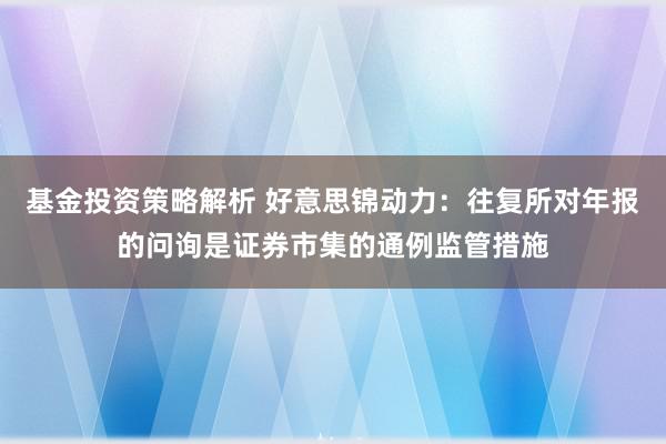 基金投资策略解析 好意思锦动力：往复所对年报的问询是证券市集的通例监管措施