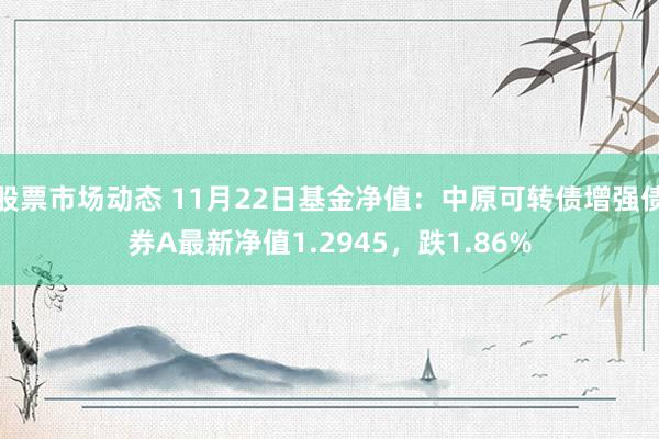 股票市场动态 11月22日基金净值：中原可转债增强债券A最新净值1.2945，跌1.86%