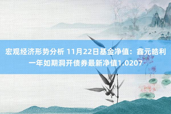 宏观经济形势分析 11月22日基金净值：鑫元皓利一年如期洞开债券最新净值1.0207