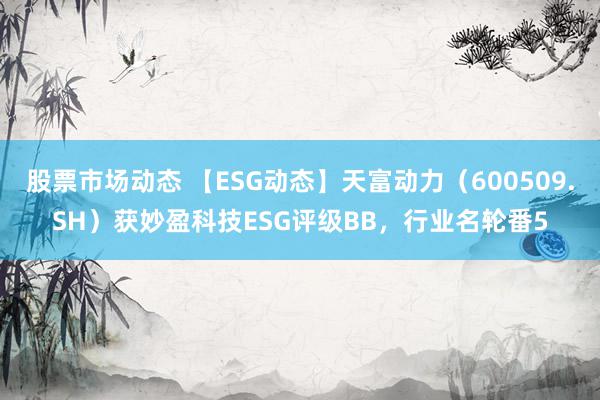 股票市场动态 【ESG动态】天富动力（600509.SH）获妙盈科技ESG评级BB，行业名轮番5