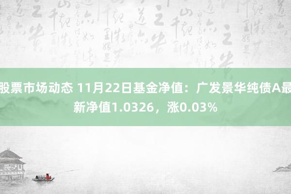 股票市场动态 11月22日基金净值：广发景华纯债A最新净值1.0326，涨0.03%