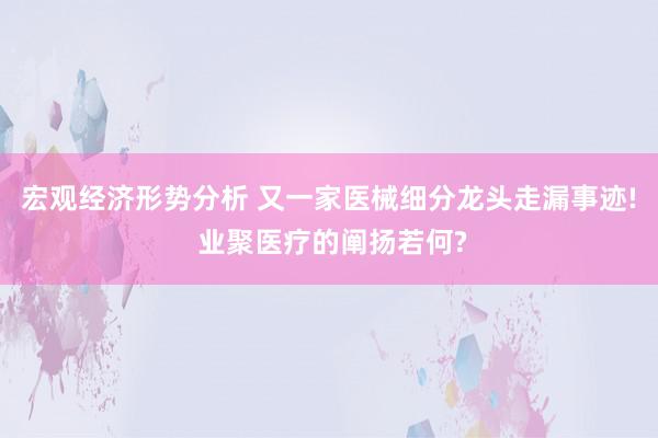 宏观经济形势分析 又一家医械细分龙头走漏事迹! 业聚医疗的阐扬若何?