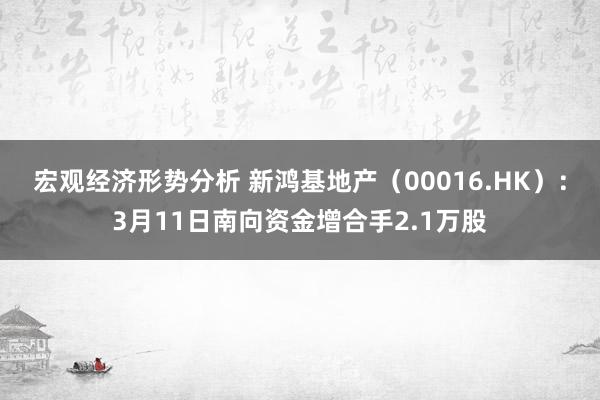 宏观经济形势分析 新鸿基地产（00016.HK）：3月11日南向资金增合手2.1万股