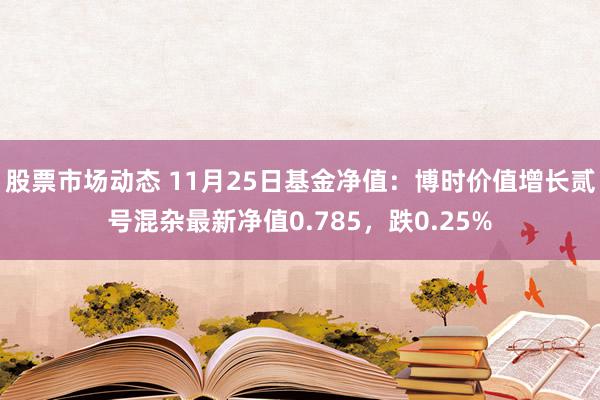 股票市场动态 11月25日基金净值：博时价值增长贰号混杂最新净值0.785，跌0.25%