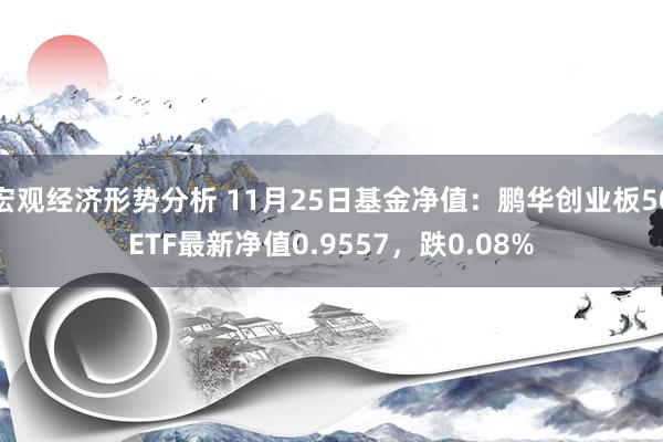 宏观经济形势分析 11月25日基金净值：鹏华创业板50ETF最新净值0.9557，跌0.08%