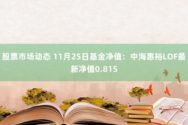 股票市场动态 11月25日基金净值：中海惠裕LOF最新净值0.815