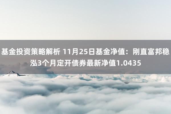 基金投资策略解析 11月25日基金净值：刚直富邦稳泓3个月定开债券最新净值1.0435