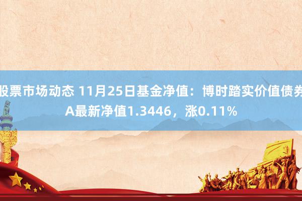 股票市场动态 11月25日基金净值：博时踏实价值债券A最新净值1.3446，涨0.11%